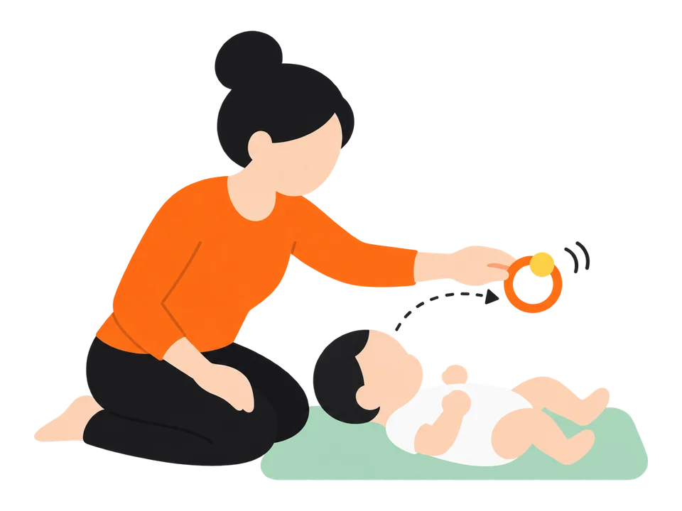 2. ゆっくり左右に動かします。赤ちゃんが目や顔を動かして追うのを待ちます。